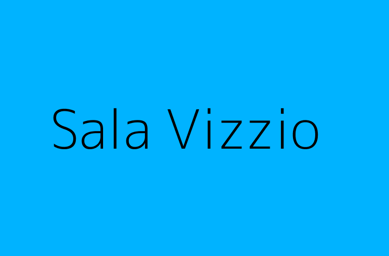 Sala Vizzio